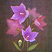 June 2020 New Prints Gallery
